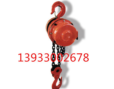 5tDHP環(huán)鏈電動(dòng)葫蘆（5噸）_副本.jpg